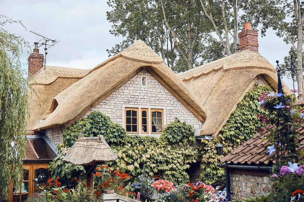 Combed wheat reed thatched cottage roof in Somerset