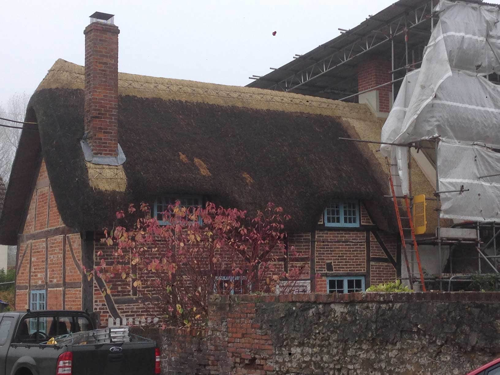 Durable water reed thatching, known for its longevity and crisp lines.