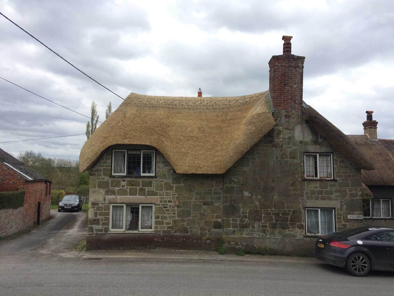 Installation of specialized wire netting to protect the thatch from birds and pests.