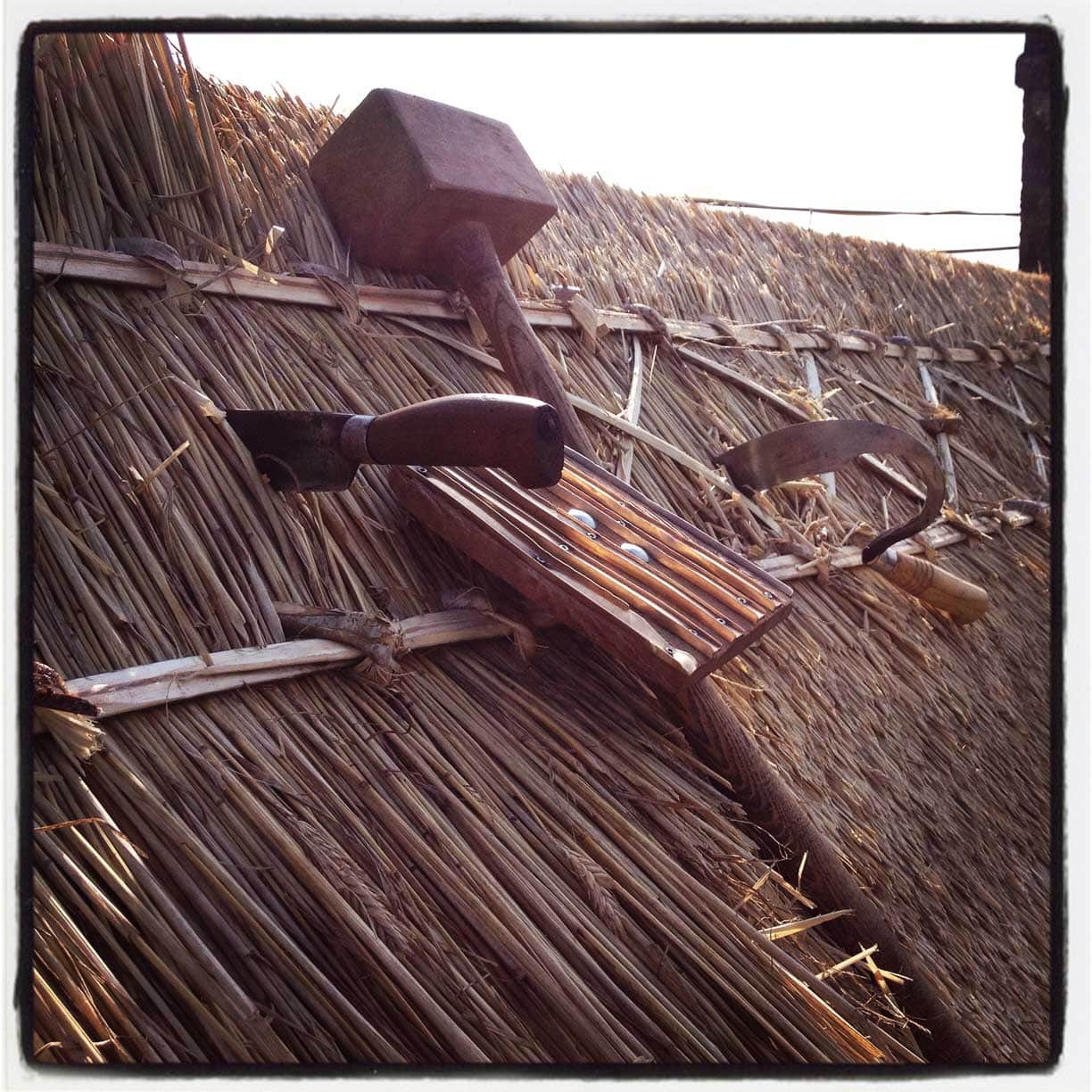 Ensuring your home is watertight and insulated against the elements.